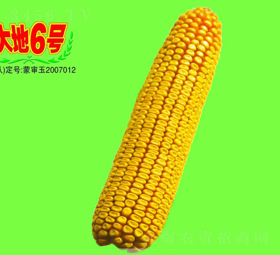 ���6̖(h��o)-���׷N��-��طN�I(y��)