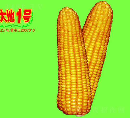 ���1̖-���׷N��-��طN�I(y��)