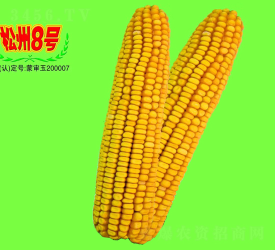 ����8̖(h��o)-���׷N��-��طN�I(y��)