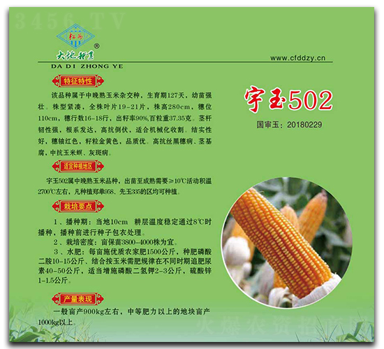 ����502-���׷N��-��طN�I(y��)