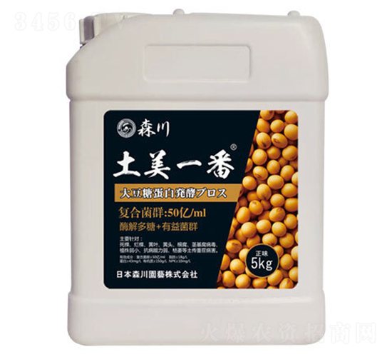 ����һ�������;���-ɭ��-����