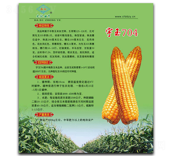 ����704-���׷N��-��طN�I(y��)