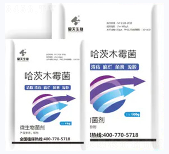 ����ľù��-�������