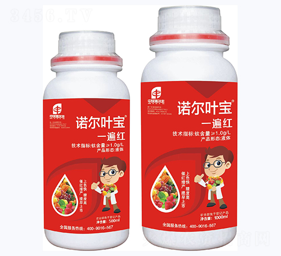 諾爾葉寶一遍紅-諾爾豐