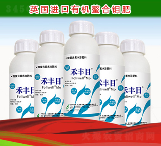 ���SĿ-�º��S