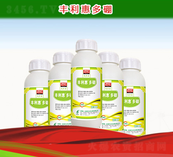 �S���ݶ���-�º��S