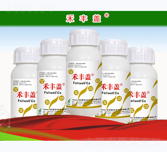 ľ�|(zh��)���������}��-���S�w-�º��S