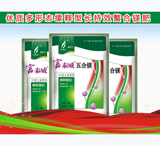 ����V-��̩��-�º��S