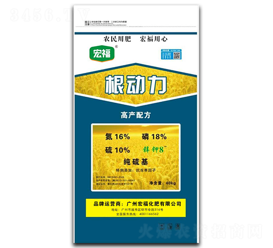 ������-�긣����