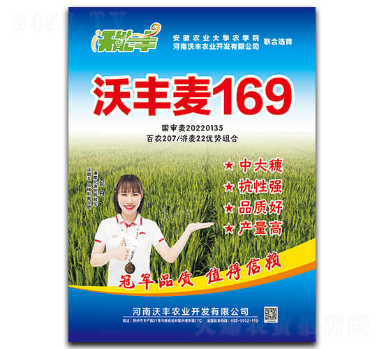 ���S��169-С���N��-�����S