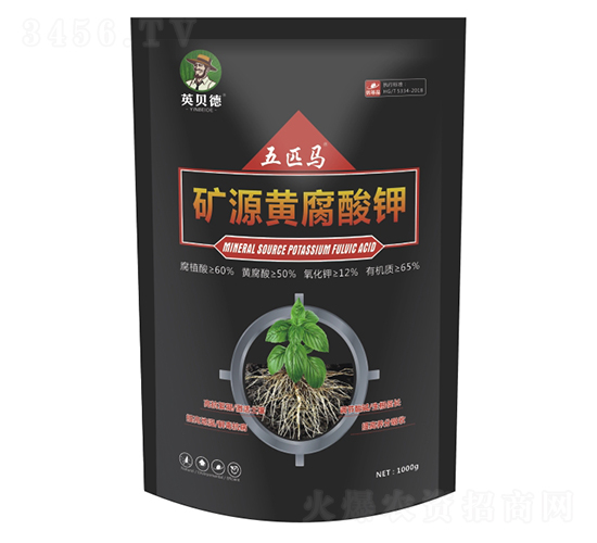 �VԴ�S�����-��ƥ�R-Ӣؐ��