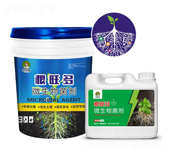 ΢�������-������-Ӣؐ��