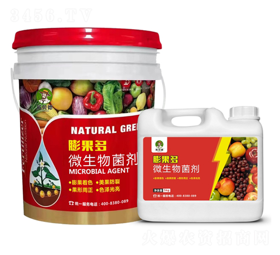 ΢�������-�����-Ӣؐ��