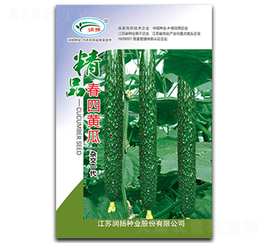 春四黃瓜-黃瓜種子-潤(rùn)揚(yáng)種業(yè)