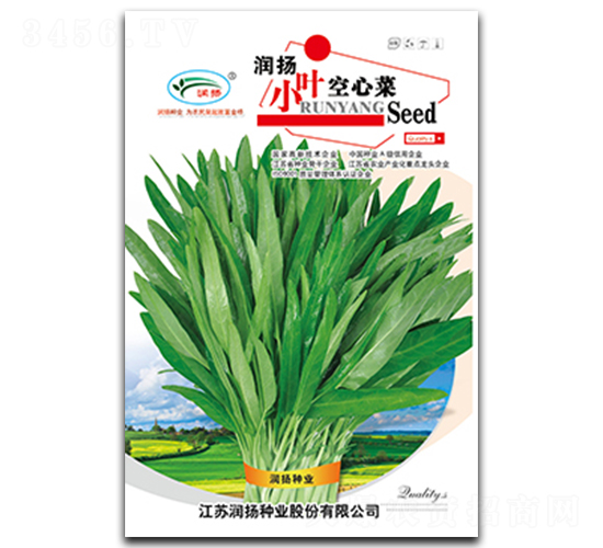 潤揚小葉空心菜-空心菜種子-潤揚種業(yè)