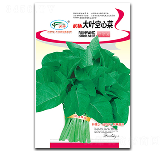 大葉空心菜-空心菜種子-潤揚種業(yè)