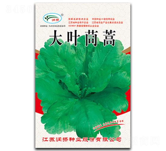大葉茼蒿-茼蒿種子-潤(rùn)揚(yáng)種業(yè)