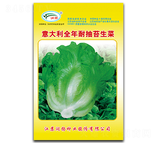 意大利全年耐抽苔生菜-生菜種子-潤(rùn)揚(yáng)種業(yè)