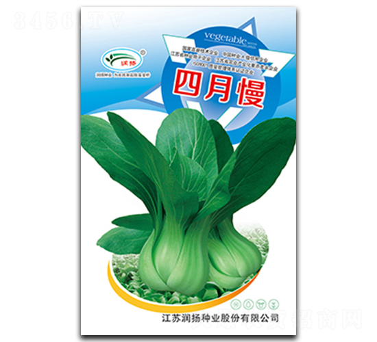 四月慢-青菜種子-潤揚種業(yè)