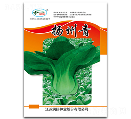 揚(yáng)州青-青菜種子-潤(rùn)揚(yáng)種業(yè)