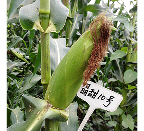 ����10̖(h��o)-���׷N��-��(r��n)�P(y��ng)�N�I(y��)