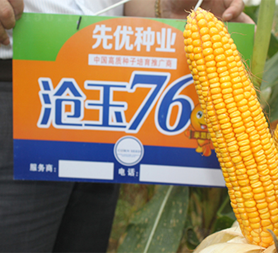 ����76-���׷N��-���P�N�I(y��)