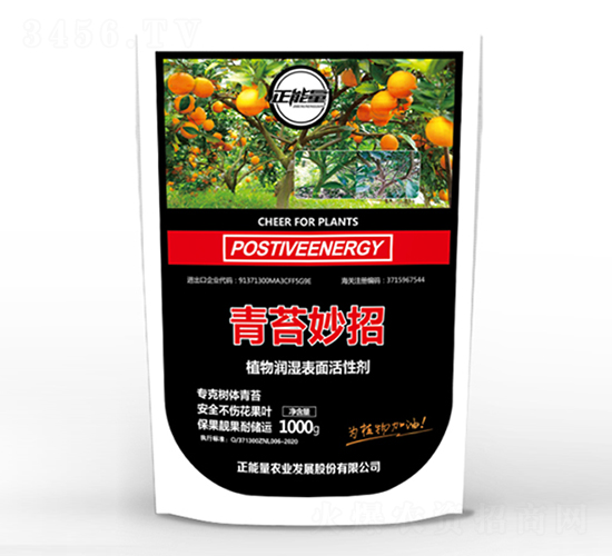 ��̦����-������