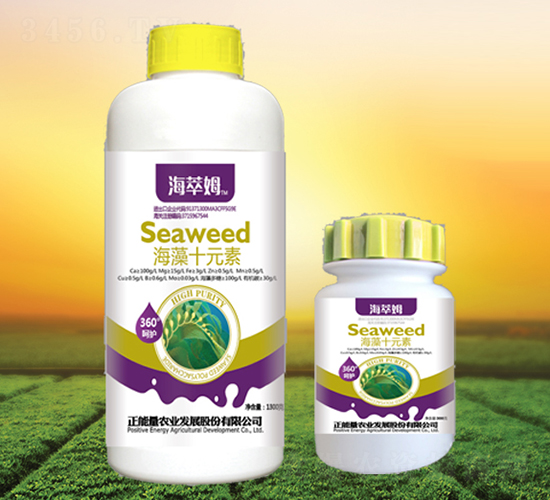海藻十元素-海萃姆-正能量