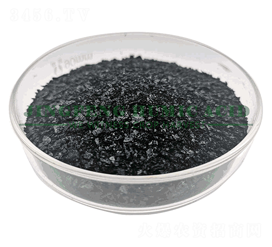 12%���徫Ƭ-���S��ֲ��