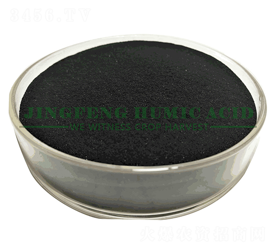 18%���徫��-���S��ֲ��