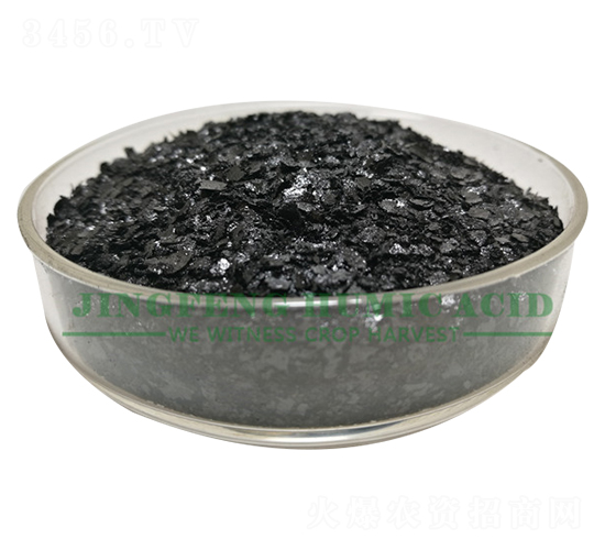 �S��ֲ���Ƭ-���S��ֲ��