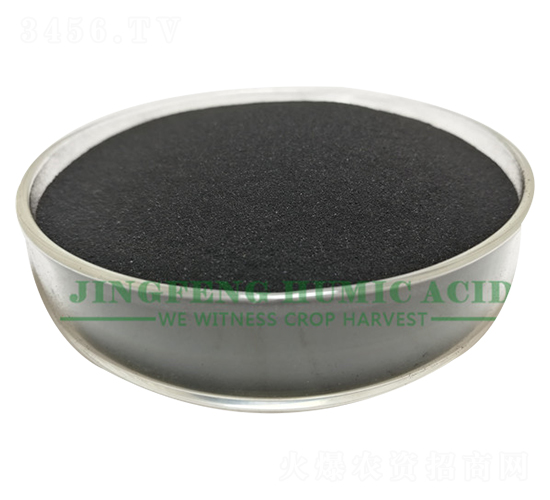 �S��ֲ��⛷�-���S��ֲ��