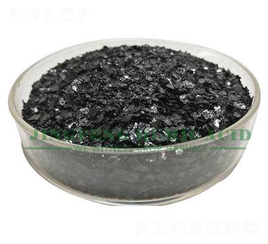 �S��ֲ��Ƭ-���S��ֲ��