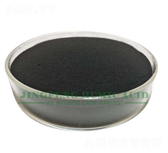 �S��ֲ���-���S��ֲ��