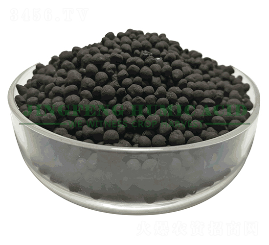 ������ֲ���w��-���S��ֲ��