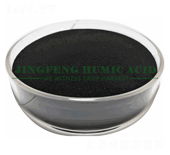 ��ֳ���@��ĩ-���S��ֲ��