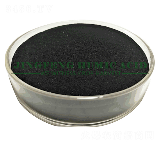 ��ˮ�ܸ�ֲ����|(zh��)��ĩ-���S��ֲ��