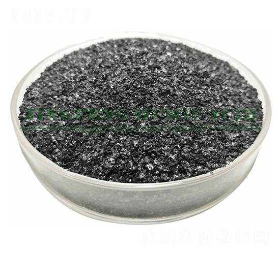 ��Ʒ��ֲ���Ƭ-���S��ֲ��