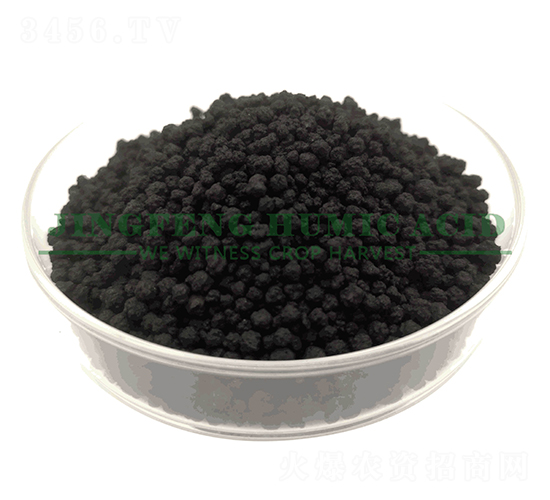 ��ֲ����w��-���S��ֲ��