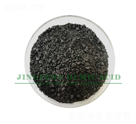 ��ֲ�᲻Ҏ(gu��)�t�w��-���S��ֲ��