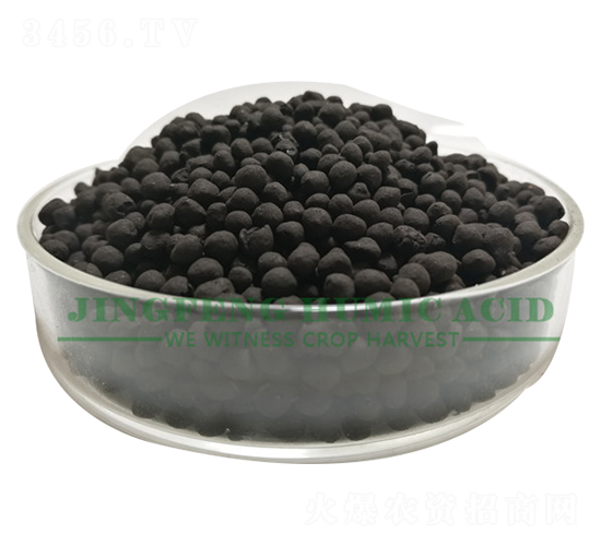 ��ֲ��A�w��-���S��ֲ��