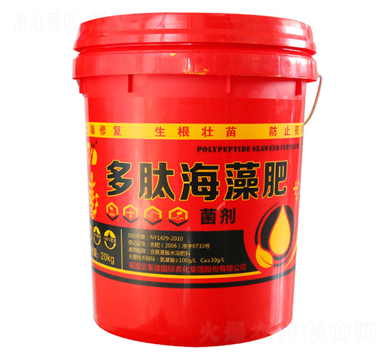 ���ĺ����-��?w��n)|����