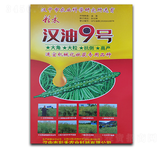 漢油9號(hào)-彩禾-鑫博農(nóng)業(yè)