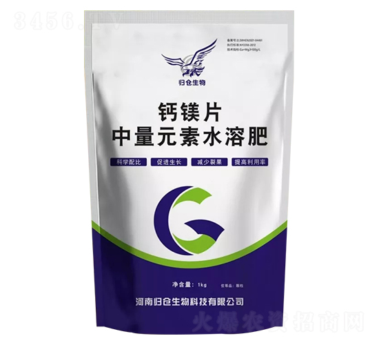 �}�VƬ-�w�}(c��ng)����