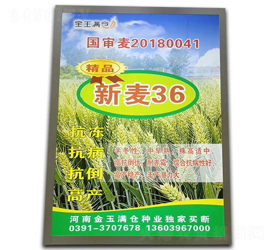 ����36-С���N��-����M(m��n)�}(c��ng)