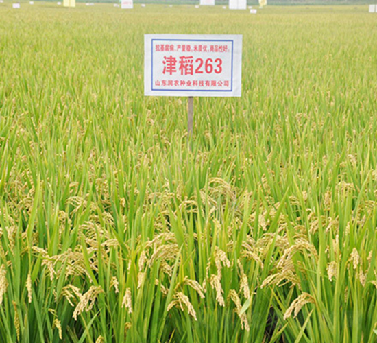 ��263-ˮ���N��-���r(n��ng)�N�I(y��)