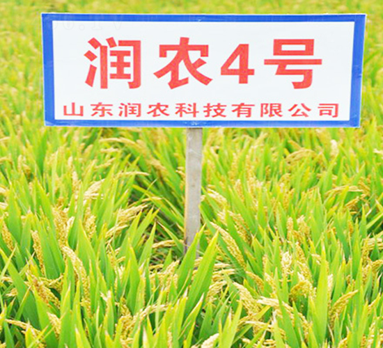 ���r(n��ng)4̖-ˮ���N��-���r(n��ng)�N�I(y��)