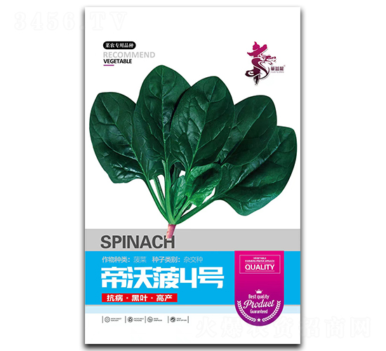 ���ֲ�4̖-���˷N��-�Aһ�N�I(y��)