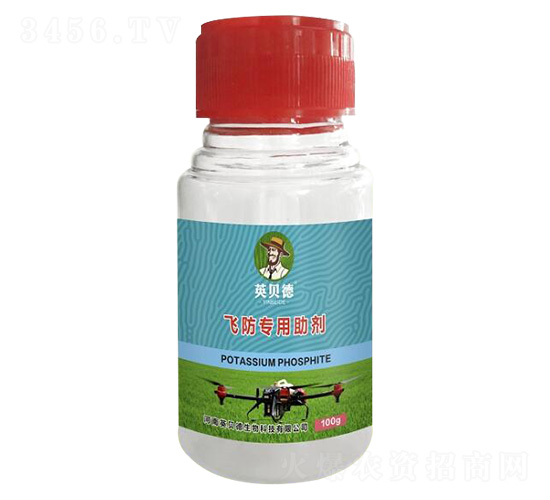 �w����������-Ӣؐ��