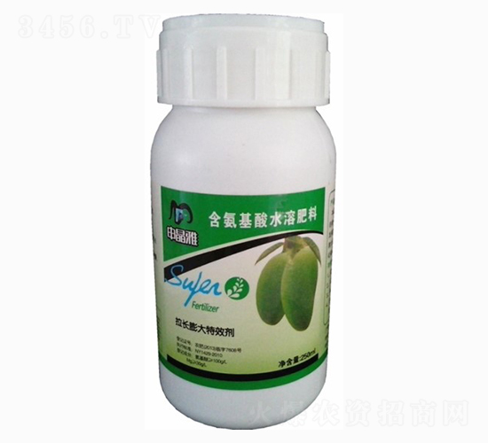 â�����L���-�꾧��